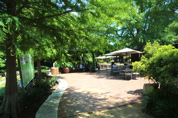 Dallas Arboretum & Botanical (7/15/2016)
