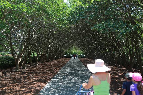 Dallas Arboretum & Botanical (7/15/2016)