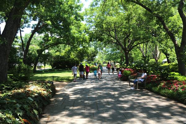 Dallas Arboretum & Botanical (7/15/2016)
