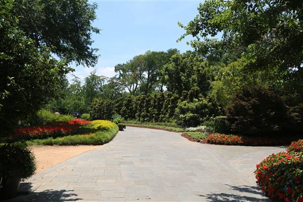 Dallas Arboretum & Botanical (7/15/2016)