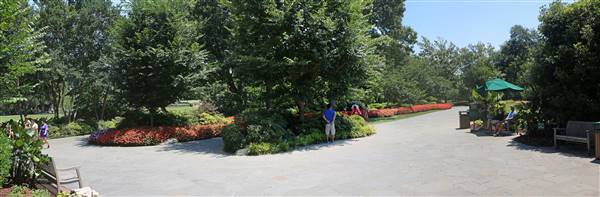 Dallas Arboretum & Botanical (7/15/2016)