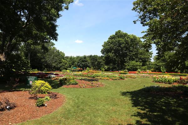 Dallas Arboretum & Botanical (7/15/2016)