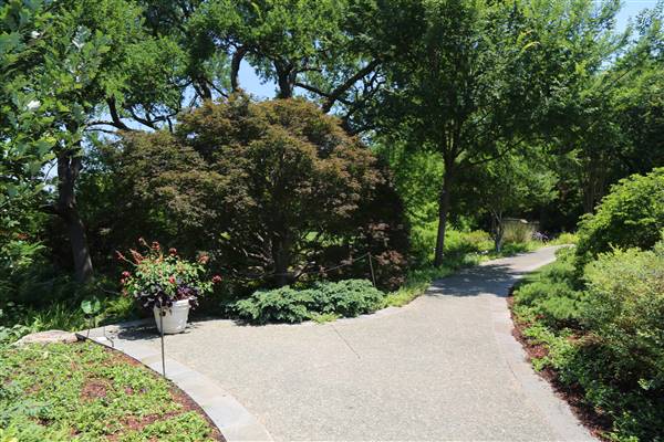 Dallas Arboretum & Botanical (7/15/2016)