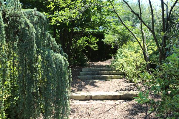 Dallas Arboretum & Botanical (7/15/2016)