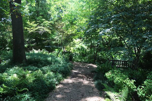 Dallas Arboretum & Botanical (7/15/2016)