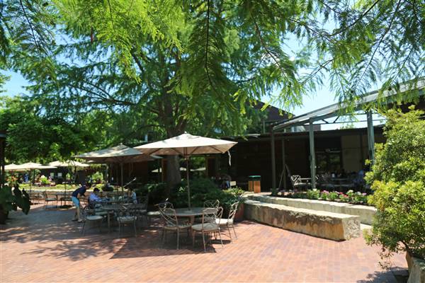 Dallas Arboretum & Botanical (7/15/2016)