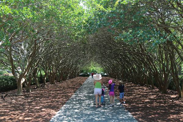 Dallas Arboretum & Botanical (7/15/2016)