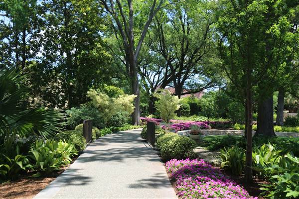 Dallas Arboretum & Botanical (7/15/2016)