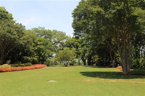 Dallas Arboretum & Botanical (7/15/2016)