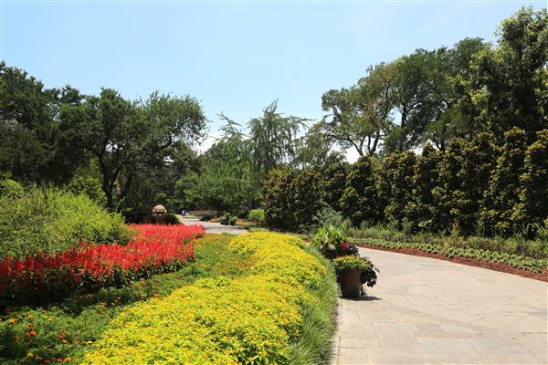 Dallas Arboretum & Botanical (7/15/2016)