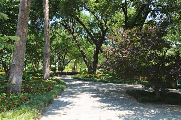 Dallas Arboretum & Botanical (7/15/2016)