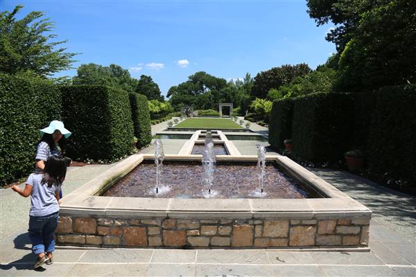 Dallas Arboretum & Botanical (7/15/2016)