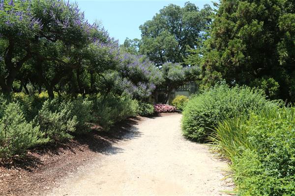 Dallas Arboretum & Botanical (7/15/2016)