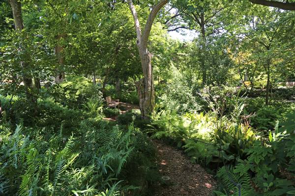 Dallas Arboretum & Botanical (7/15/2016)