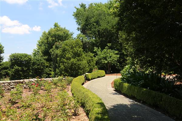Dallas Arboretum & Botanical (7/15/2016)