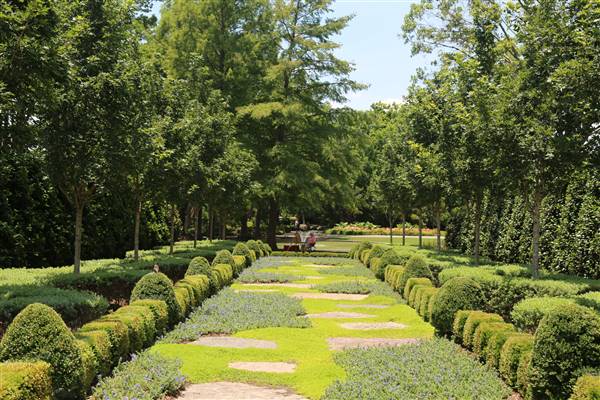 Dallas Arboretum & Botanical (7/15/2016)
