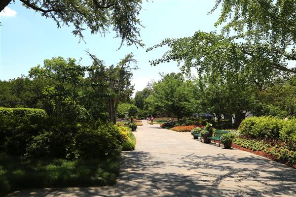 Dallas Arboretum & Botanical (7/15/2016)