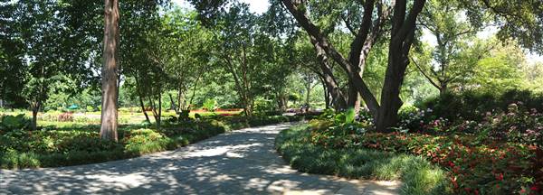 Dallas Arboretum & Botanical (7/15/2016)