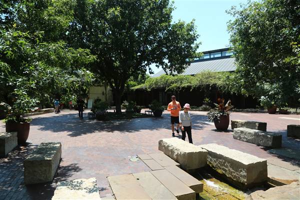 Dallas Arboretum & Botanical (7/15/2016)