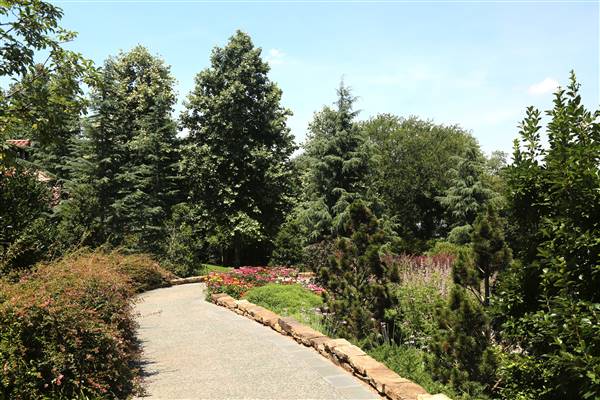 Dallas Arboretum & Botanical (7/15/2016)