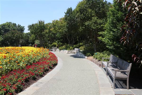 Dallas Arboretum & Botanical (7/15/2016)