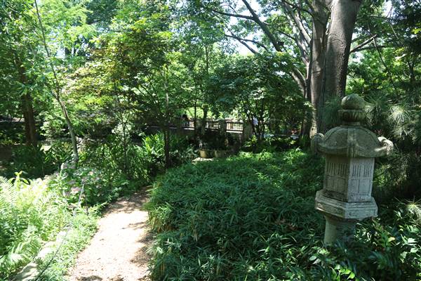 Dallas Arboretum & Botanical (7/15/2016)
