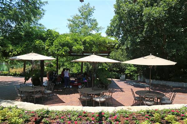 Dallas Arboretum & Botanical (7/15/2016)