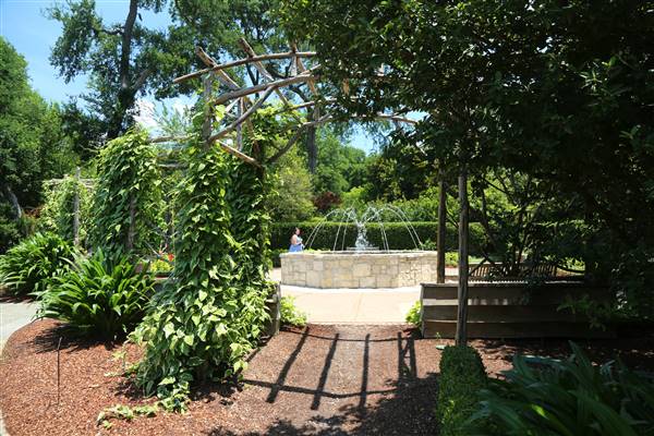 Dallas Arboretum & Botanical (7/15/2016)