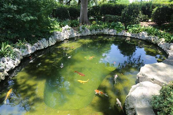 Dallas Arboretum & Botanical (7/15/2016)