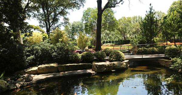 Dallas Arboretum & Botanical (7/15/2016)