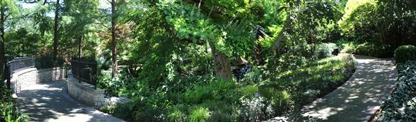 Dallas Arboretum & Botanical (7/15/2016)