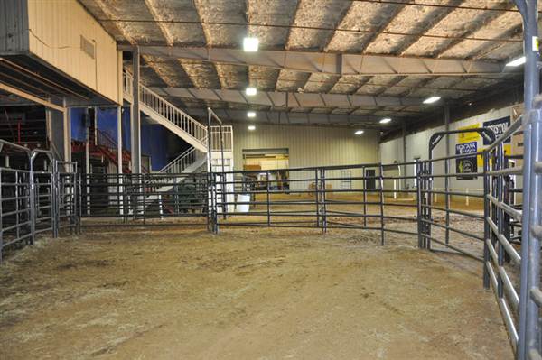 Mesquite Rodeo
