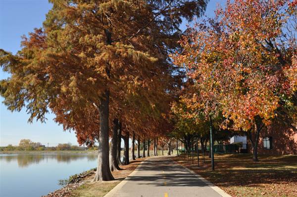 Bachman Lake Park - Playground & Jogging Track