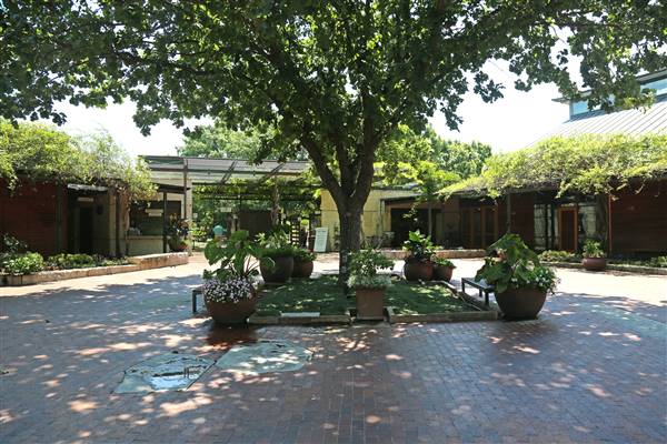 Dallas Arboretum & Botanical (7/15/2016)