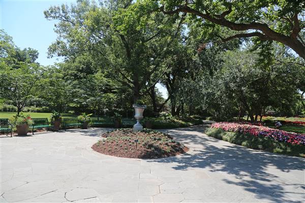 Dallas Arboretum & Botanical (7/15/2016)