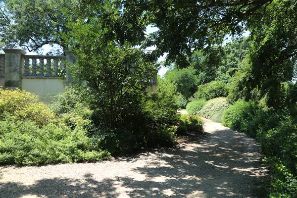 Dallas Arboretum & Botanical (7/15/2016)
