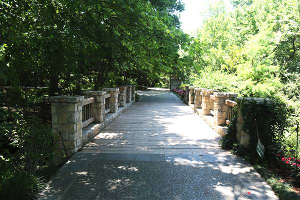 Dallas Arboretum & Botanical (7/15/2016)