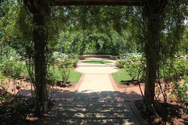 Dallas Arboretum & Botanical (7/15/2016)