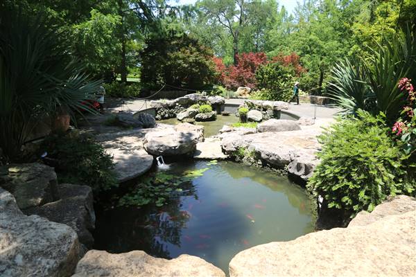 Dallas Arboretum & Botanical (7/15/2016)