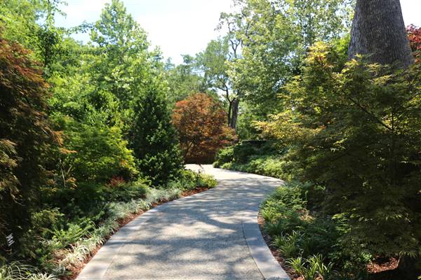 Dallas Arboretum & Botanical (7/15/2016)