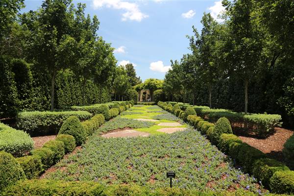 Dallas Arboretum & Botanical (7/15/2016)