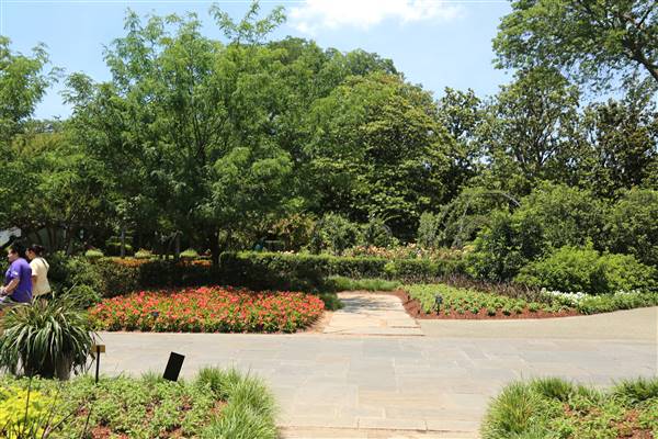 Dallas Arboretum & Botanical (7/15/2016)