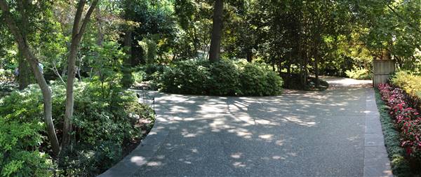 Dallas Arboretum & Botanical (7/15/2016)