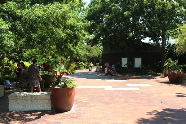 Dallas Arboretum & Botanical (7/15/2016)