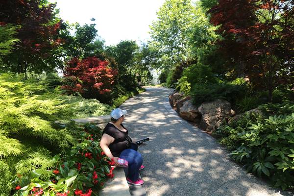 Dallas Arboretum & Botanical (7/15/2016)