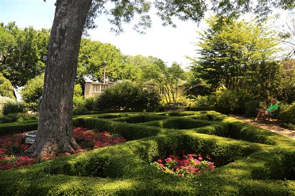 Dallas Arboretum & Botanical (7/15/2016)