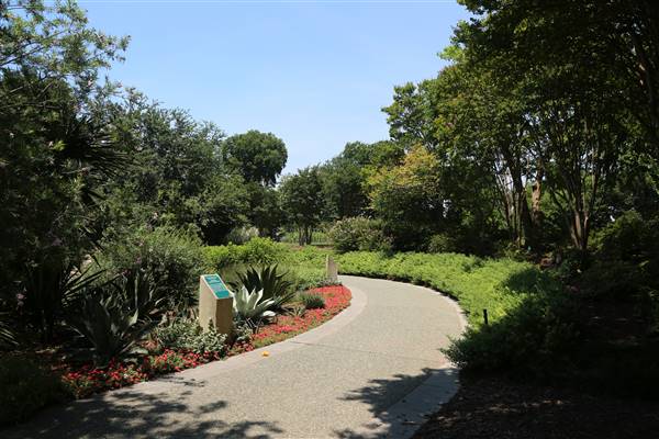 Dallas Arboretum & Botanical (7/15/2016)