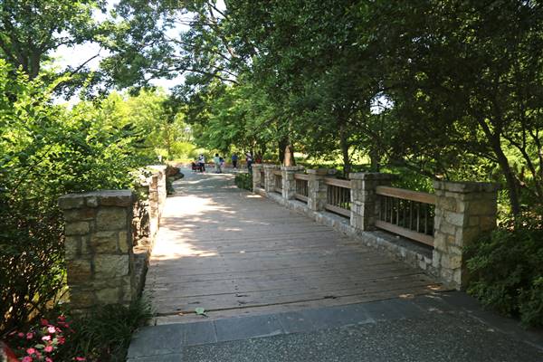 Dallas Arboretum & Botanical (7/15/2016)