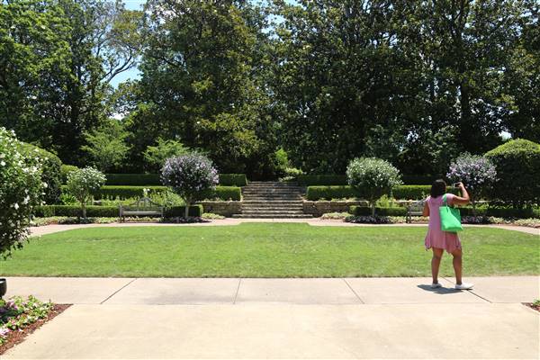 Dallas Arboretum & Botanical (7/15/2016)