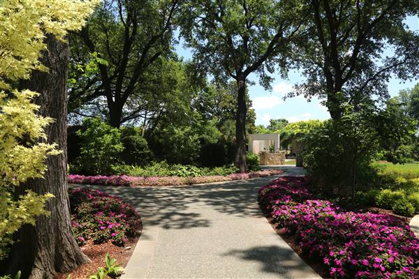 Dallas Arboretum & Botanical (7/15/2016)